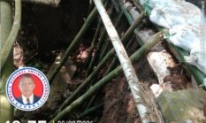 berita-pilihan-foto